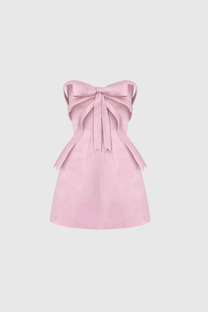 Ananiasz Askısız Fiyonklu Dar Pembe Mini Elbise