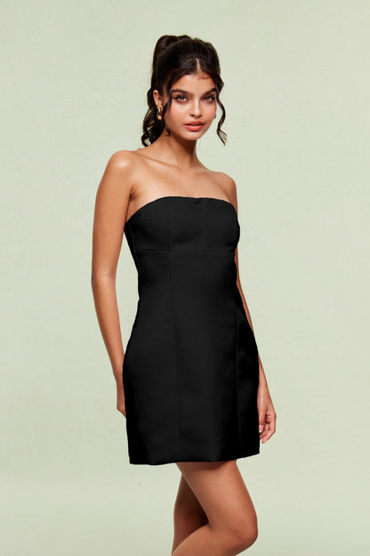 Blanche Straplez Mini Siyah Elbise