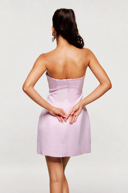 Blanche Straplez Mini Pembe Elbise